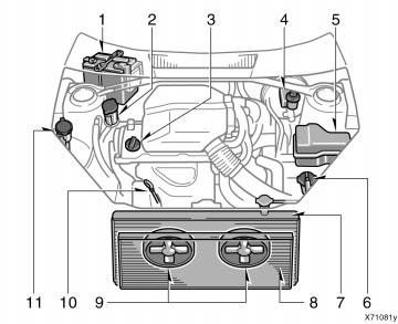 Engine compartment overview 1. Battery 2. Power steering fluid reservoir 3. Engine oil filler cap 4. Brake fluid reservoir 5. Fuse block 6.