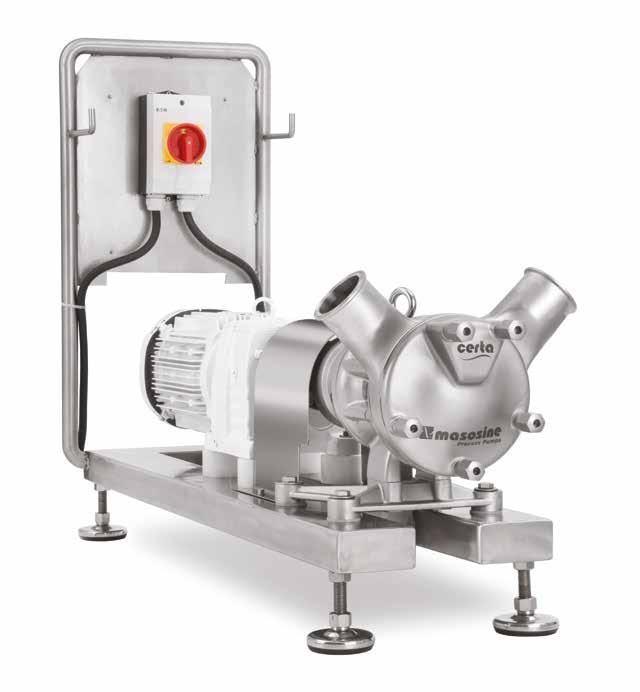 Options and accessories Service and support Connection ports Certa pumps are available with all