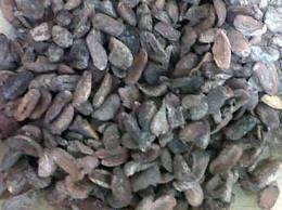 The major component fatty acids of mahua oil are Palmitic