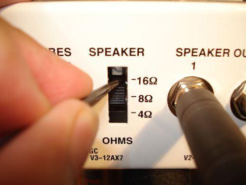 IMPORTANT: Do NOT turn on the amplifier without a speaker plugged in!