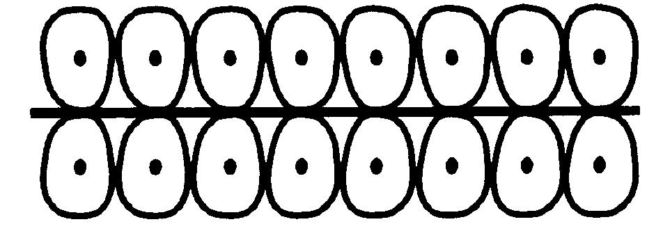 3. ntara bahagian bahagian berlabel P, Q, R, S dan T, yang manakah mengekalkan bentuk sel akar itu? P P, Q, S and T P and Q P, Q, R, S and T 4.