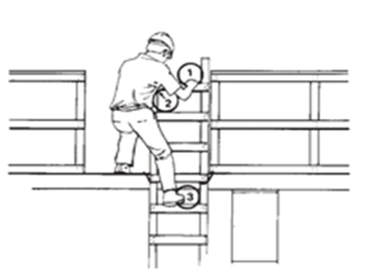 Never use an extension ladder horizontally like a platform. ALWAYS USE THREE POINTS OF CONTACT WHEN USING A LADDER Climbing a : 1926.