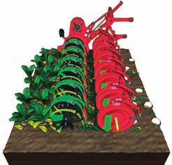 One major innovation is the Grimme INLINE-SYSTEM of the flail topper. The chopped leaves are spread directly between each row across the whole machine width.