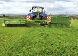 Cross conveyors boost efficiency. This specification is particularly beneficial in operations that do without windrowing, turning and tedding.