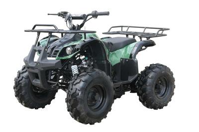 SPECIFICATION(Model:LZ110-5) EPA & EEC & CE approved Air cooled, 4-stroke, single cylinder, chain drive 107cc Horse Power 5.0kw(8000r/min) 6.7HP Compression ratio 8.0:1 2.
