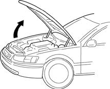 Fig. 6-1 6. Registration. a. Open the Hood. b. Temporarily reconnect the Negative Battery Cable.