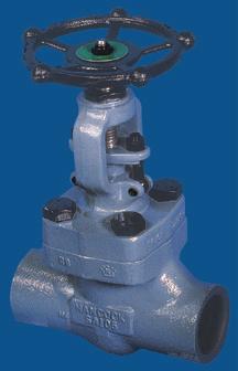 Direct contact, metal-to-metal seating, make the globe valve ideal for most shut-off applications.