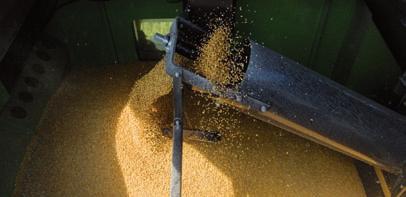 There is also the option of electric sieve control, with which the performance of the combine can be optimized still further.