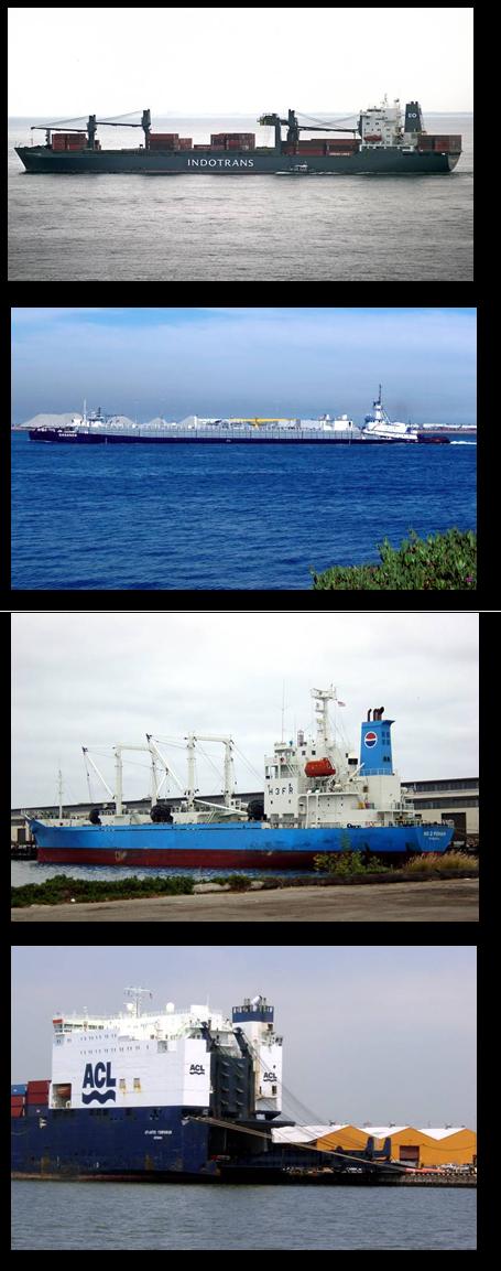 General Cargo Vessels General cargo vessels carry diverse cargo such as steel, palletized goods, large heavy-duty machinery, and other heavy loads.