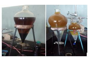 In this titration process the given waste cooking oil is mix with isopropanol after that it is mixed with the mixture of water and NaOH or KOH solution drop by drop continuously up to it became