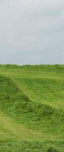 First class cut A precision mowing process is the starting point for high forage quality.