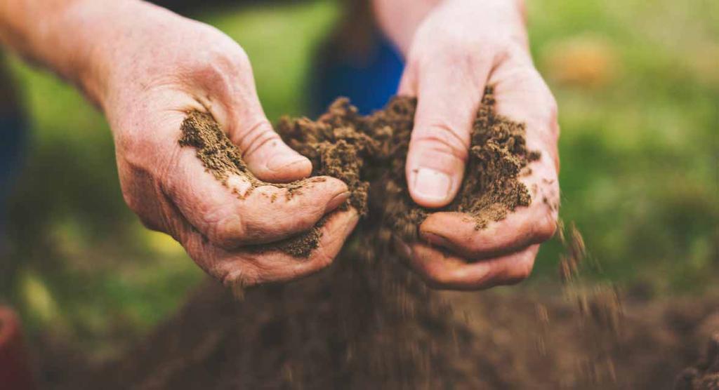 Best soil The soil is the basis for agriculture and forestry and is one of the world's most important yet limited resources.