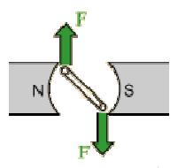 If the current-carrying wire is bent into a loop, then the