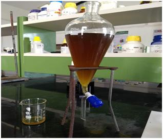 After completing the trans-esterification process take that trans-esterified oil into a separating funnel, allow it to