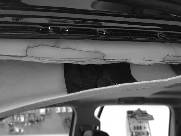 Pull down slightly on the headliner to expose the black adhesive tape covering