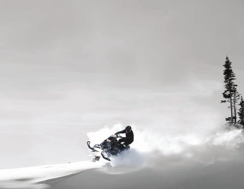 Revive your ride Any snowmobiler can improve the performance and safety of his or her machine with a new track. And a new track is much less expensive than a new sled.