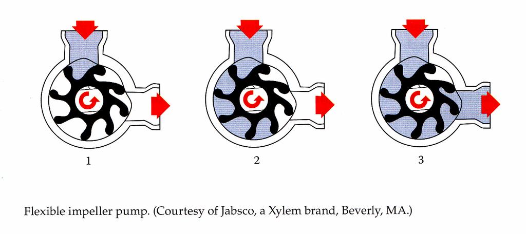 Flexible impeller pump It sometimes called a flexible vane pump because the rotor is made of an elastometric material such as rubber.