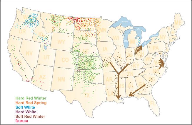 Survey Overview Illinois Indiana U.S. Wheat Class Production Areas Gulf Tributary SRW States and Areas Surveyed East Coast Tributary Weather and Harvest: Soft red winter wheat (SRW) is grown over a