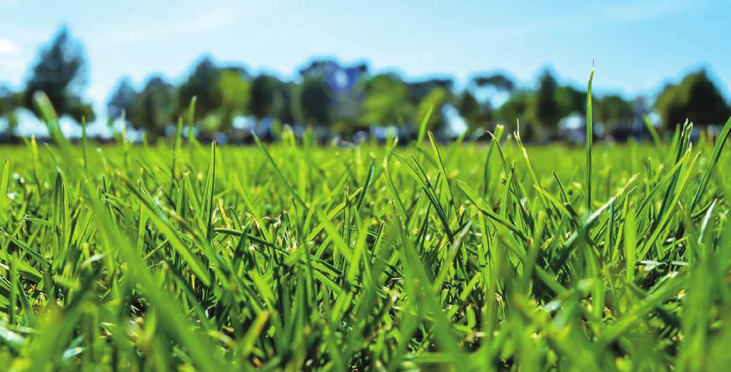 The Natural Evolution of Mowing Performance An improved