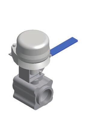Lockout Valve Lockout valves are used in specific cylinder arrangements where manual isolation of pipe is required.