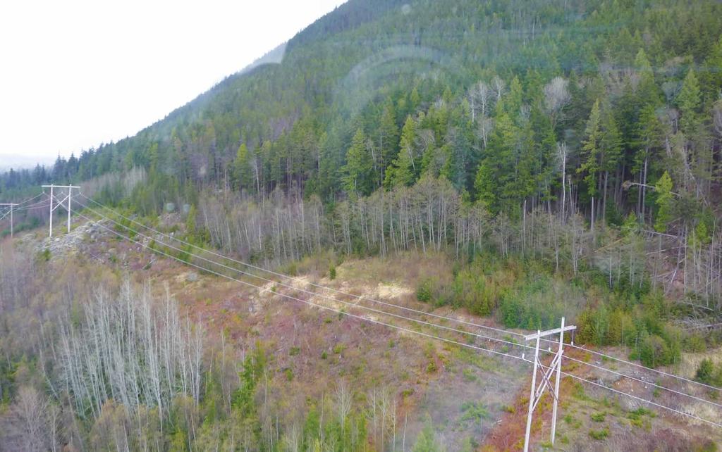 THE SITUATION The Kitimat area receives electricity through a single 287 kv transmission line (green), from Skeena Substation near Terrace, to Minette Substation.