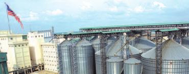 CHAIRMAN S FFM s flour and feed mill complex at Pulau Indah GROUP RESULTS Year 2005 was challenging for the Group as its sugar refining division faced higher raw material costs and its oil palm