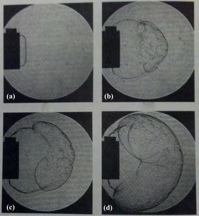 Figure 2.11 shows a set of still frames from the critical tube diameter case. In frame (b) the detonation front has begun to re-form after initially decoupling.