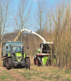 Its versatility is limitless. Harvesting salix with the HS-2 wood harvesting attachment. Rapid-growing tree types, such as Salix (willow) are ideal for use in energy production.