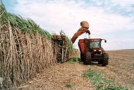 Brazil Looking forward, more cane available 700 600 500 400 300 200 100 0 mln mt CS