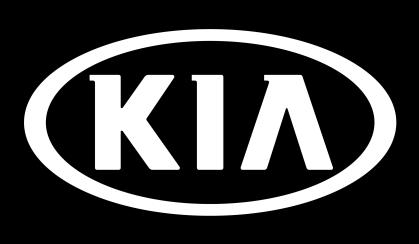 Kia is requesting the completion of this Service Action on all affected vehicles including those in dealer stock, prior to delivery.