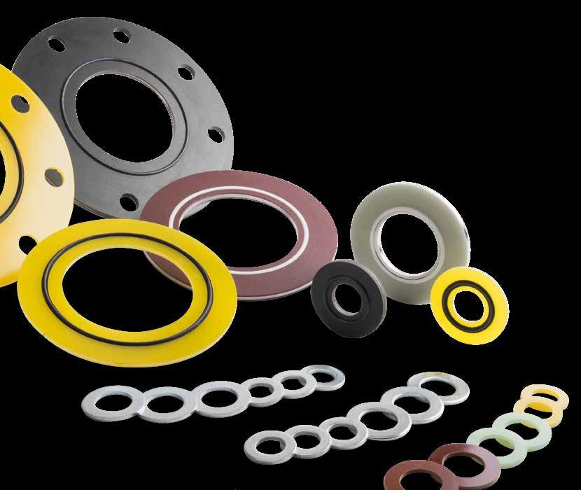 0.0Company - Global Sealing Solutions Carrara Carrara Global Sealing Solutions, committed to Partnership 4 Operating Divisions Sealing systems and valve components Industrial Sealing Systems