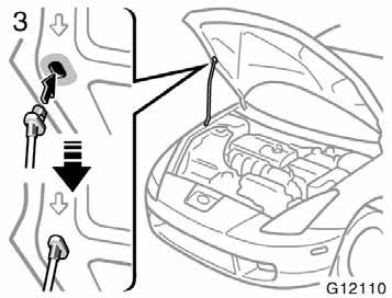 Hold the hood open by inserting the support rod into the slot.