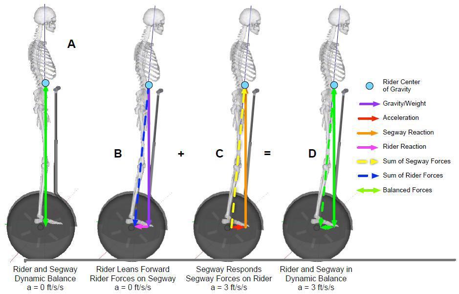 Using of composite material for the build-up. Making it fully automated. VI. SEGWAY BALANCING TECHNIQUE The balancing action of the Segway is described in the figure given below.
