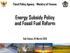 Energy Subsidy Policy and Fossil Fuel Reform