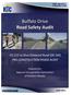 Buffalo Drive Road Safety Audit
