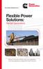 Flexible Power Solutions: