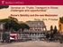 Seminar on Public Transport in Rome: challenges and opportunities
