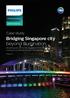 Bridging Singapore city beyond illumination