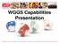 Generator Services. WGGS Capabilities Presentation
