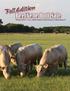 Fall Edition. BeefGene Bull Sale. Saturday, October 1 1 p.m. Sulphur Springs Livestock Commission Sulphur Springs, TX