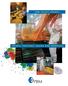 PBM VALVES HANDLE PAINTS, COATINGS, RESINS AND ADHESIVES