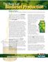 Biodiesel Production. The Basics of. W. A. Callegari