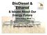 BioDiesel & Ethanol & Issues About Our Energy Future