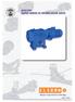 Elecon have a wide range of worm, parallel shaft and right angle helical spiral bevel speed reduction gear units.