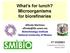 What s for lunch? Microorganisms for biorefineries