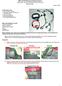 2005 and 09 Mustang install instructions Sequential / Chase Unit Partial Plug-N-Play Kit Meter4it Eng. Updated: 3/28/09