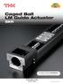 Caged Ball LM Guide Actuator SKR