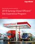 Measuring the consumer experience Synergy Diesel Efficient Site Experience Program
