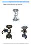 Cage Guided Globe Control Valves