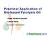 Practical Application of Bio-based Pyrolysis Oil Paula Flowers Hassett Lance Baird